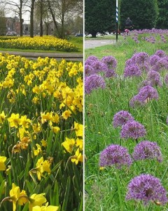 Eindhoven - 2 phases.jpg